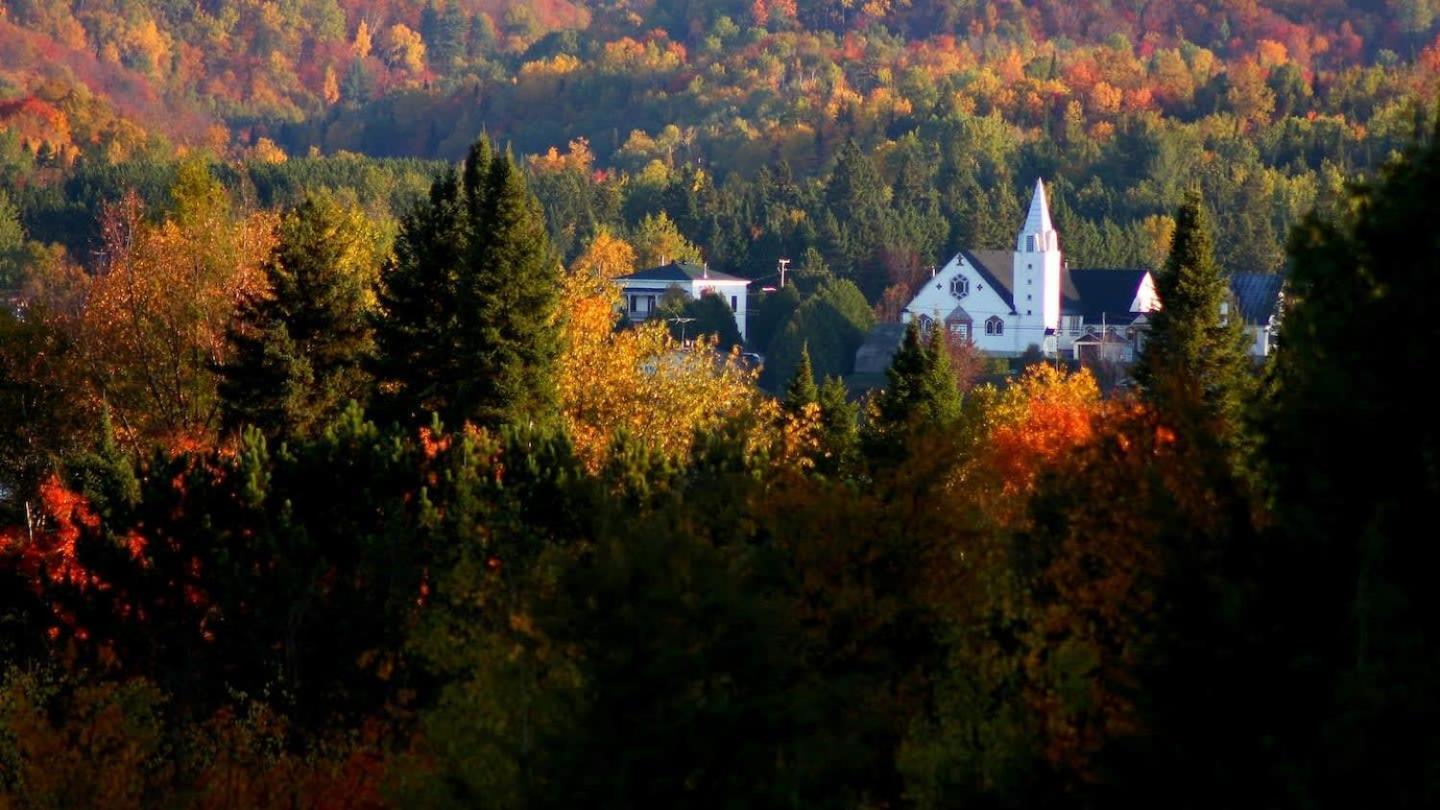 Your Cozy Cabin Retreat Saint-Remi-d'Amherst 외부 사진